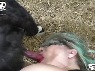Phim Sex Chó
