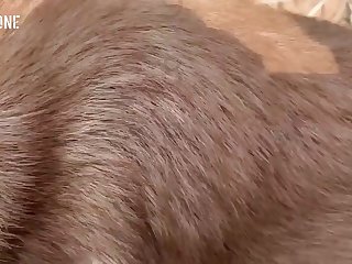 Mulher Transando Com Cavalo