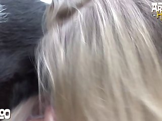 Dog Dog