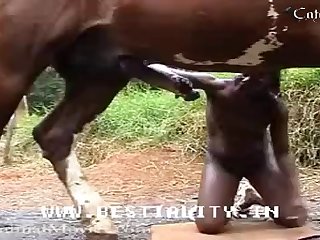 Porno De Caballo