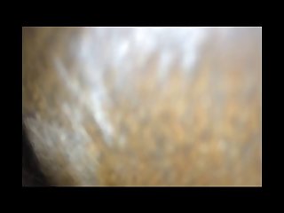 Decided To Interview Only Three Of Them. The First