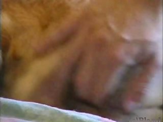 To Wear Hoof Gloves As Part Of Her Ponygirl Outfit