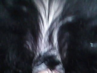 Someone More Willing. To Keep Everyone Happy Fiona Was