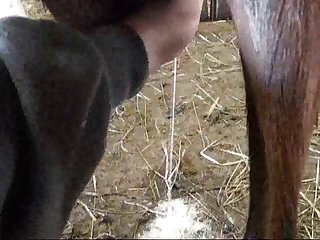 Life In Granny's Stables Was Such A Change From The