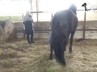 Aunties Sex With Horse - Masha Katieva Full Horse Vid You're Welcome