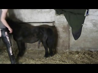 Carino 1
